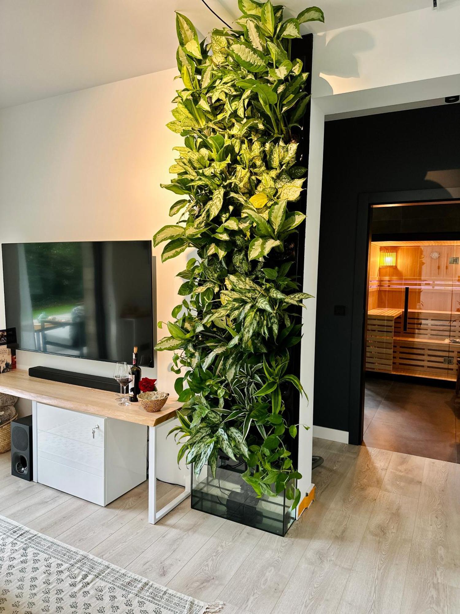 Apartment Bm *
